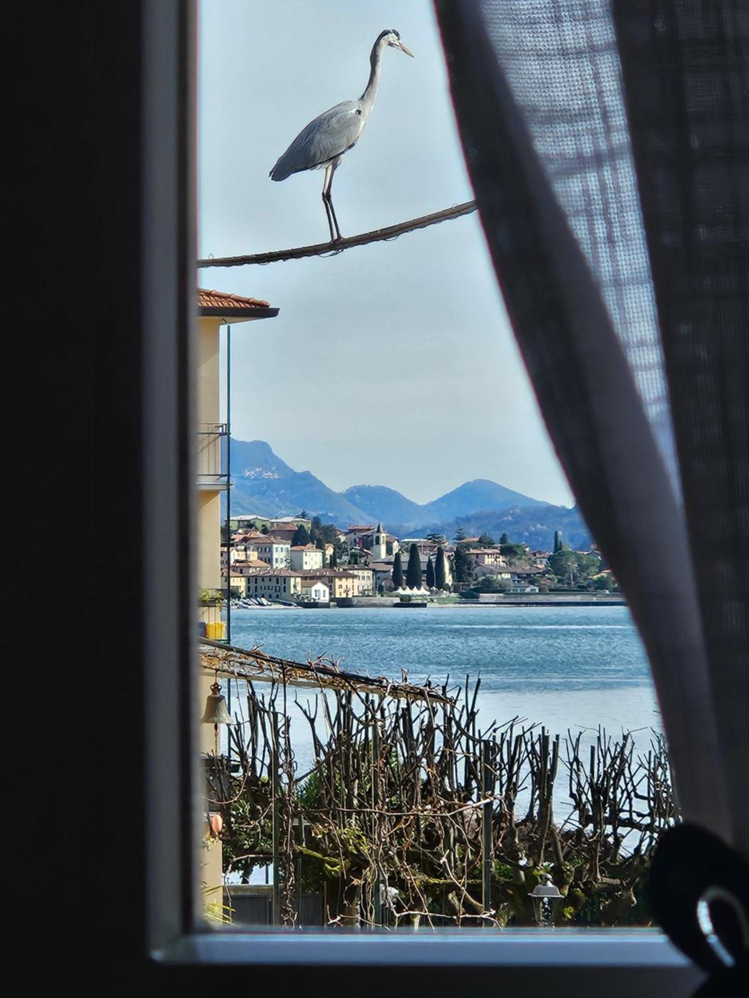 L'Airone - Casa Vacanza マンデッロ・デル・ラーリオ エクステリア 写真