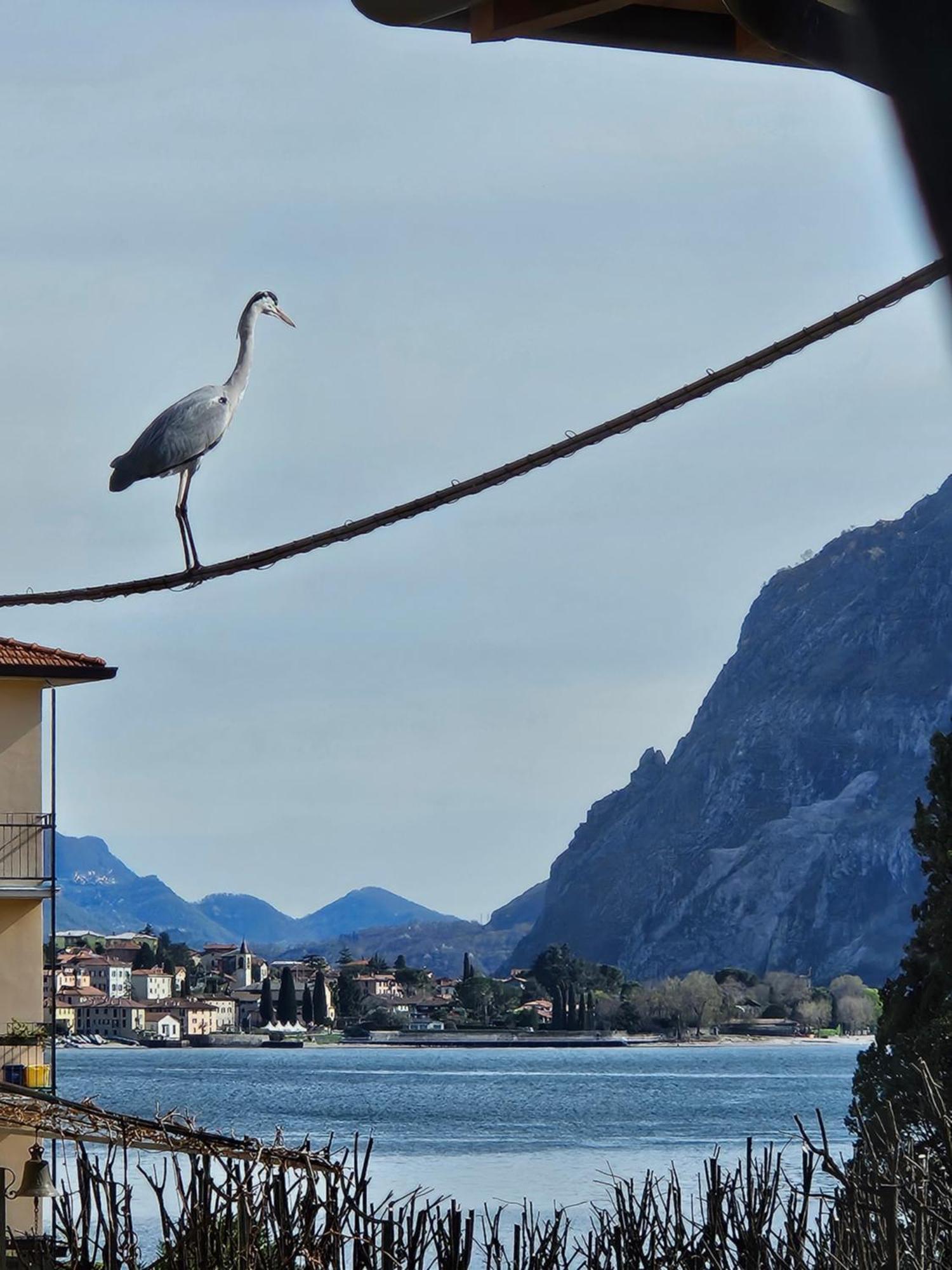 L'Airone - Casa Vacanza マンデッロ・デル・ラーリオ エクステリア 写真